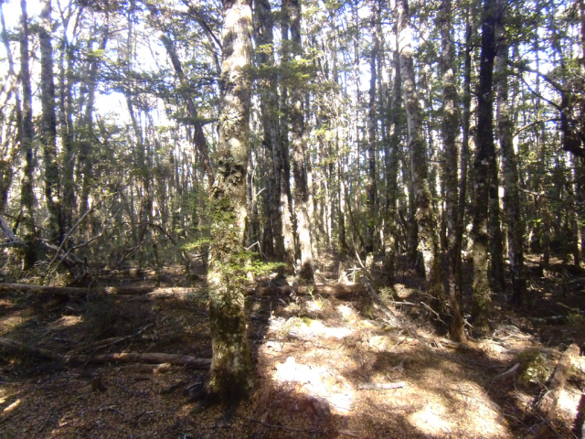 2012-04-22 11.47.39 2012-04-22 11.47.39